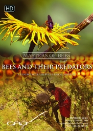 Affiche de Les abeilles et leurs prédateurs (Kenya/Turquie)