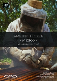 Affiche de L'abeille Maya (Mexique)