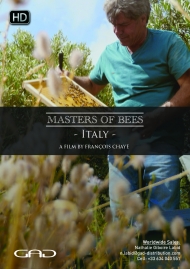 Affiche de L'abeille noire de Sicile (Italie)