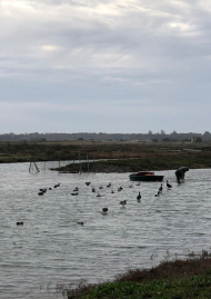 Poster of Night hunting in France