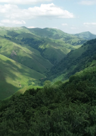 Poster of FROM THE IRATI TO THE OCEAN