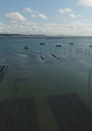 Poster of From the Leyre to Pilat, the grand Arcachon Bay