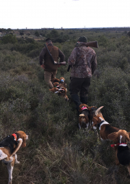 Poster of Rabbit hunt