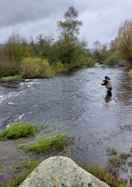Poster of The Lozère its cascading rivers and trout