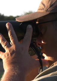 Poster of Fouqueure, the summer of Capreolus