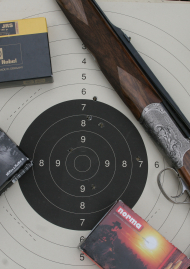 Poster of Bullet book