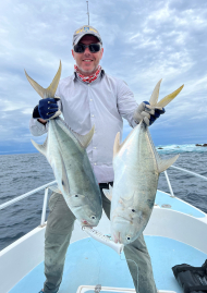 Poster of Panama in the veins