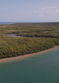 Poster of Bijagos, fishing mission