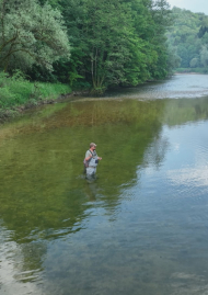 Poster of Trout passion