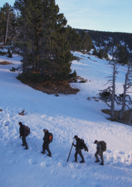 Poster of The dead of winter