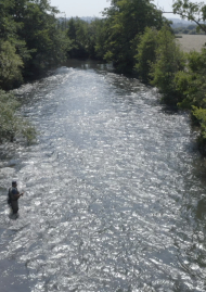 Poster of THE MAESTRO OF WATERS