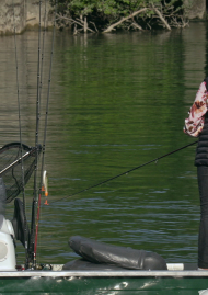 Poster of “YOUTHFUL” SINS