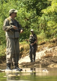 Affiche de Histoires de nymphes et de mouches