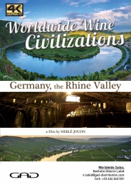 Affiche de La Vallée du Rhin ( Allemagne)