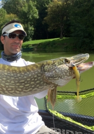 Affiche de Brochets en postes encombrés