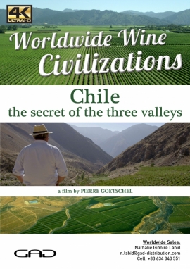 Affiche de Le secret des trois vallées (Chili)