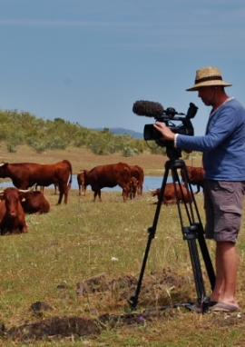 Affiche de Escapade pour un trophée, carnet de voyage en Estrémadure