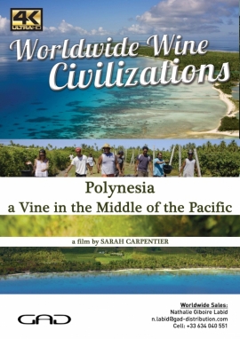 Affiche de Une vigne au milieu du Pacifique (Polynésie)