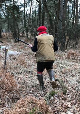 Poster of Woodcock Wonder