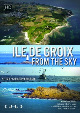 Poster of Ile de Groix from the sky