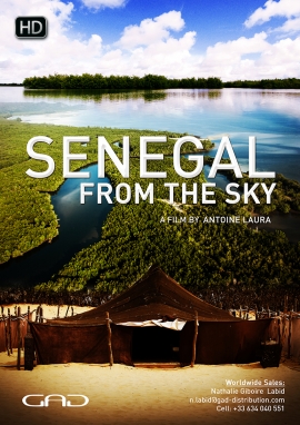 Poster of Senegal from the sky