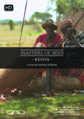 Poster of The bee, the Yaaku and the bird (Kenya)