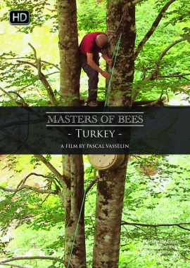 Poster of Two rivals for one treasure (Turkey)