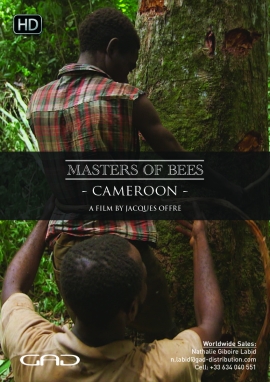 Poster of The sacred honey of the Baka (Cameroon)