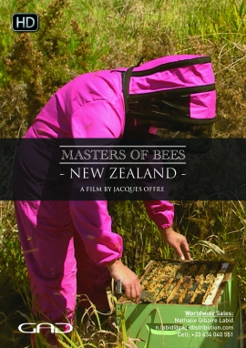 Poster of The treasure of the Māori (New Zealand)