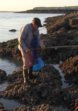 Affiche de Marée haute marée basse