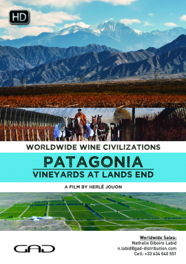 Affiche de Les vignes du bout du monde (Patagonie/Argentine)