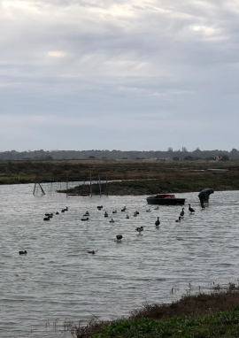 Poster of Night hunting in France