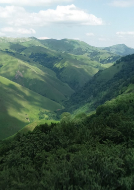 Poster of FROM THE IRATI TO THE OCEAN