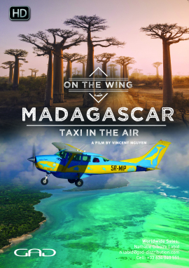 Affiche de Le taxi-brousse des airs (Madagascar)