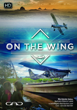 Affiche de Les avions du bout du monde