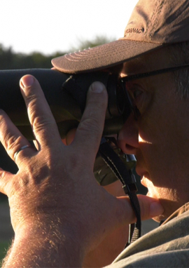 Poster of Fouqueure, the summer of Capreolus