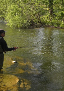 Affiche de La face cachée des fleuves côtiers : l’Orb