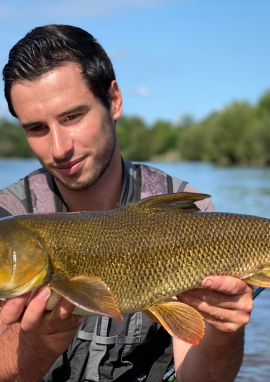 Poster of Barbel fishing