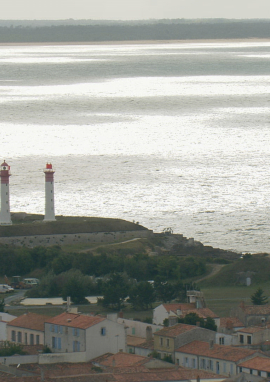 Affiche de De la pêche à l'assiette: le thon