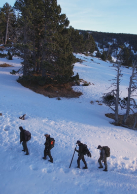 Poster of The dead of winter