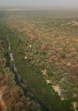 Poster of "Boumac" the great