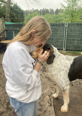 Affiche de Morgane, une ado pas comme les autres