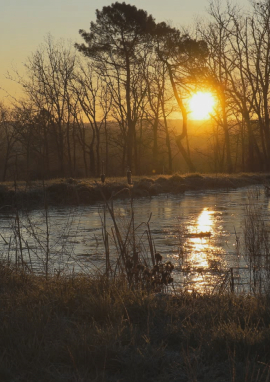 Poster of A land of passion