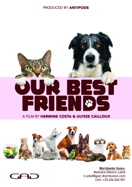 Nos très chers animaux