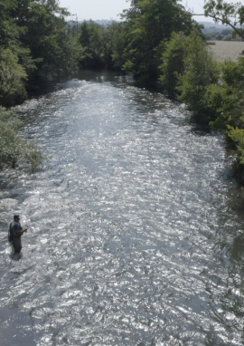 Affiche de LE MAESTRO DES EAUX