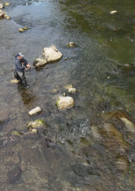 Affiche de L’ombre dans la lumière