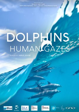 Poster of Dolphins: Human gazes