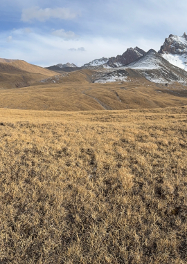 Affiche de Marco Polo, au bout de l’effort...
