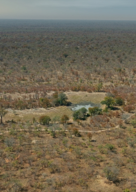 Affiche de Sur la piste des Dagga Boys