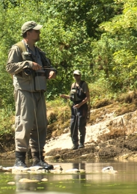 Affiche de Histoires de nymphes et de mouches